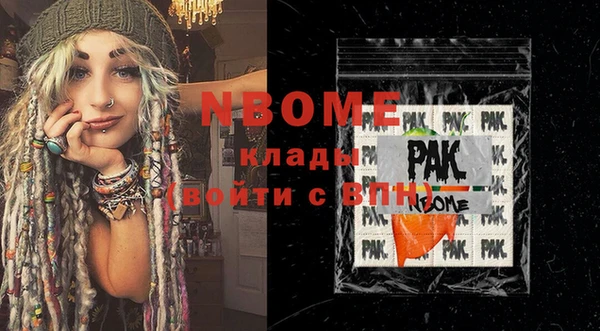 хмурый Алексин