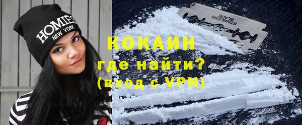 хмурый Алексин