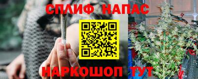 молекула духа Гай