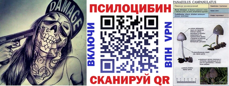 Псилоцибиновые грибы мицелий  дарк нет телеграм  Новоуральск  ОМГ ОМГ  