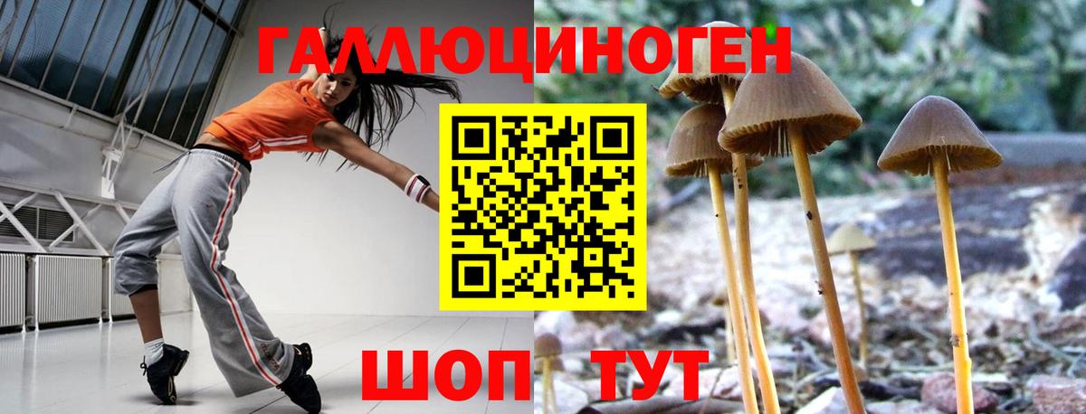 Псилоцибиновые грибы ЛСД Новоуральск
