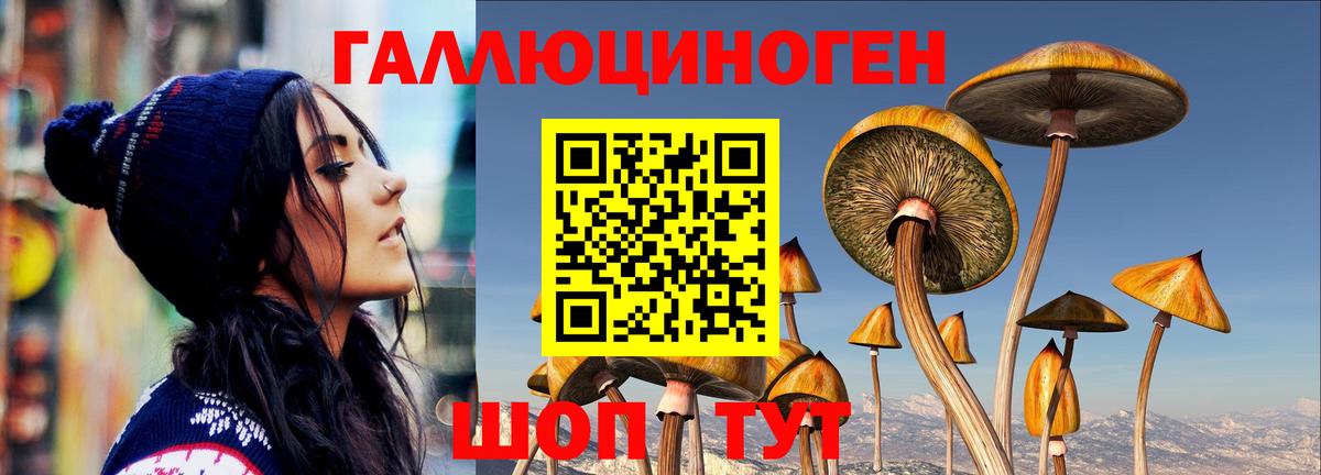 Новоуральск  Галлюциногенные грибы Psilocybe  Вход с VPN 